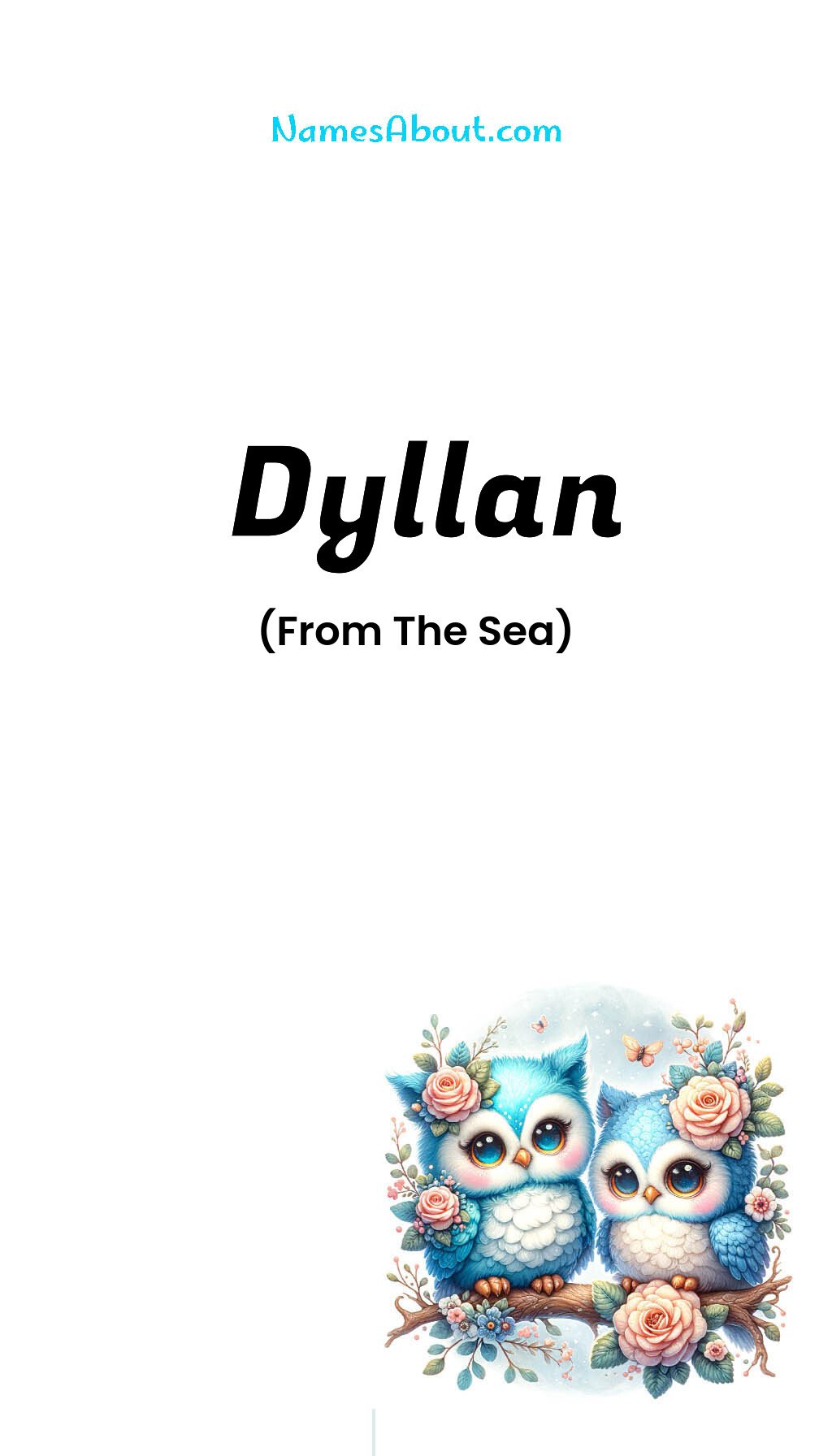 Dyllan name and meaning