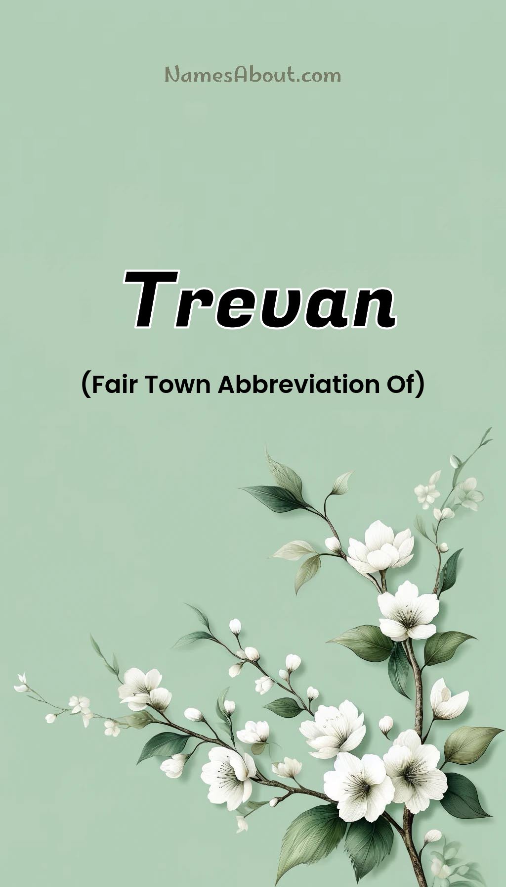 Trevan name and meaning