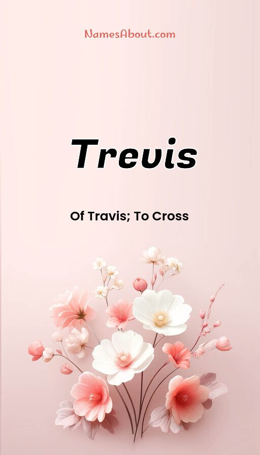 Meaning of Trevis