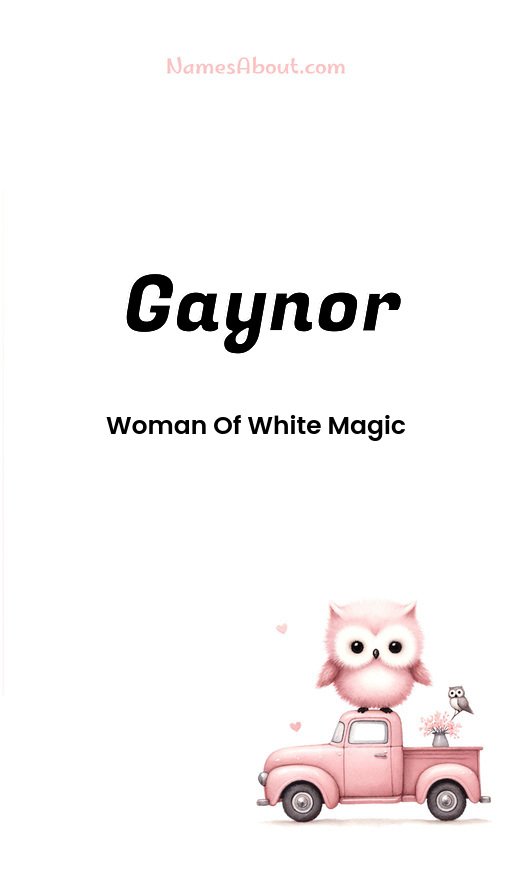 Meaning of Gaynor