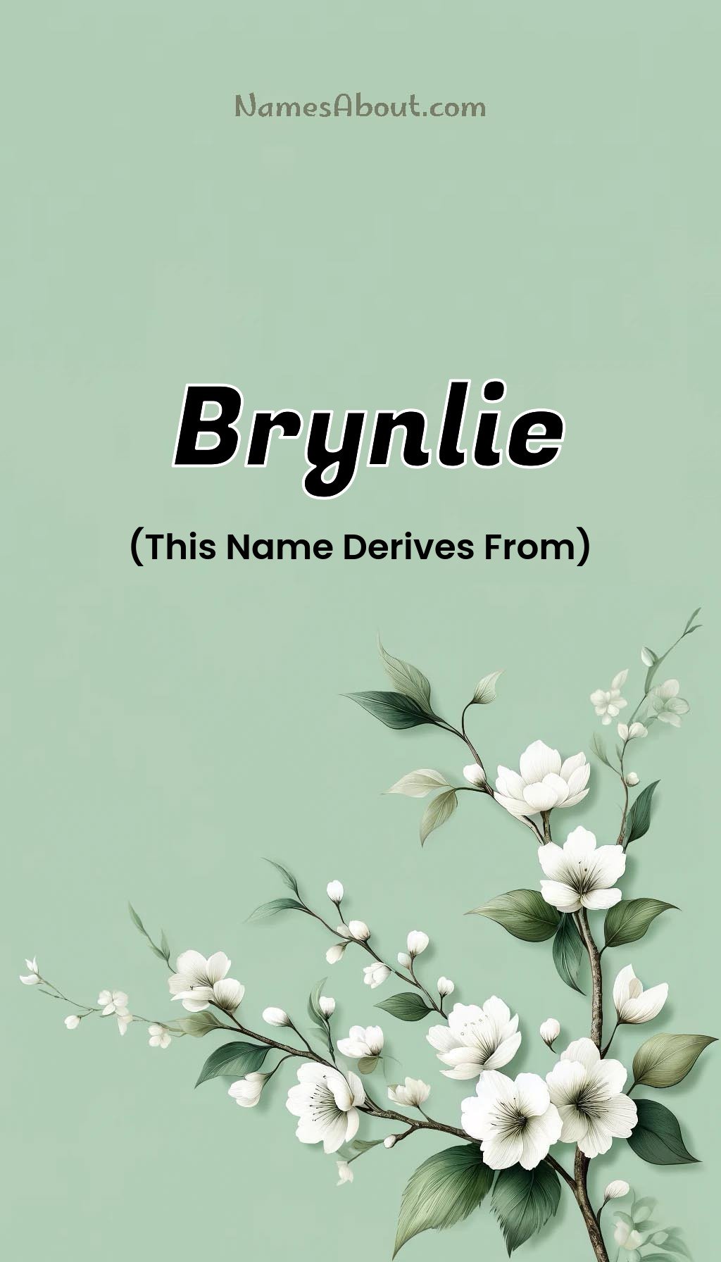 Brynlie name and meaning