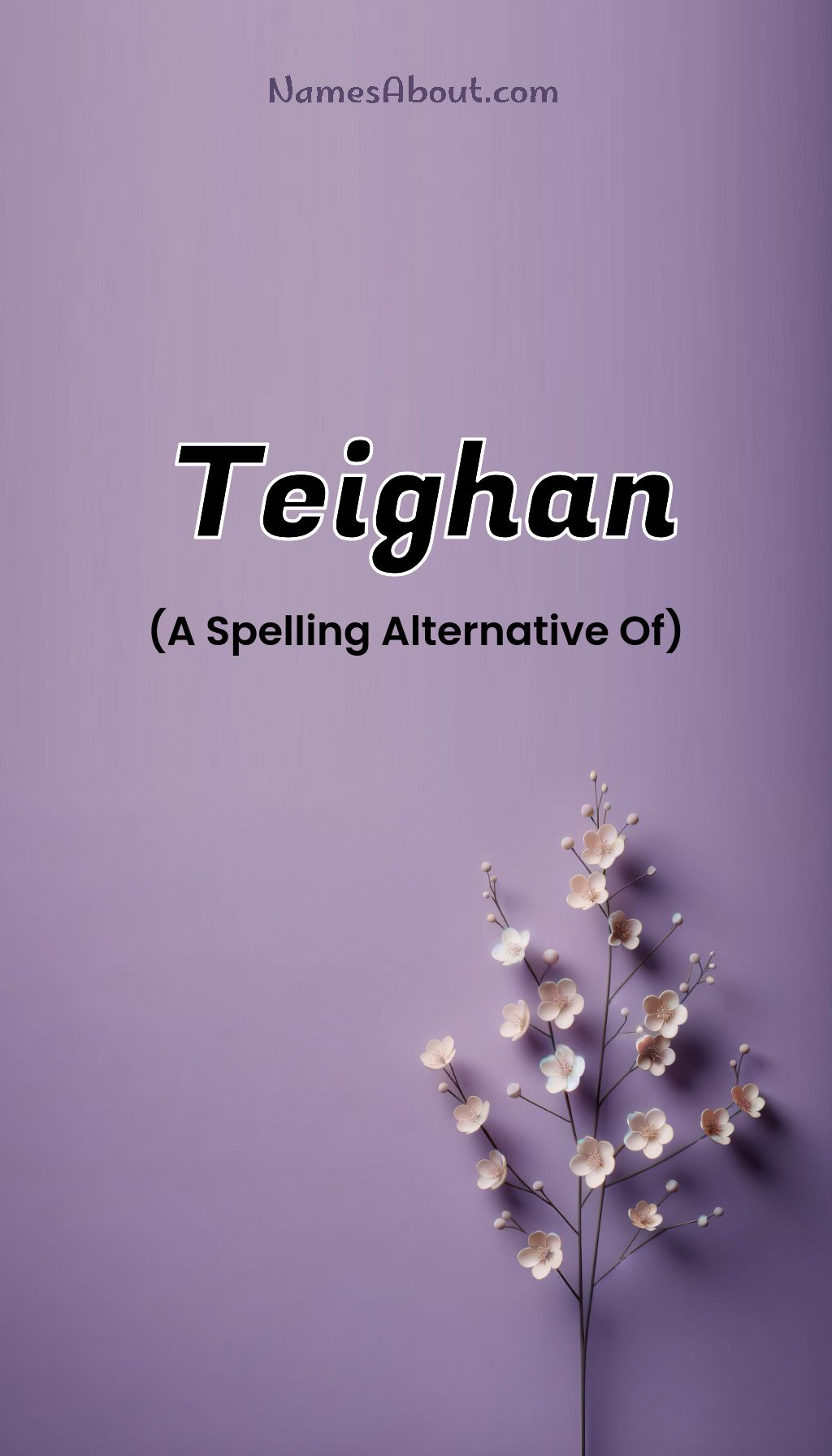 Teighan name and meaning