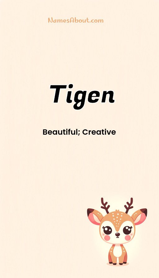 Meaning of Tigen