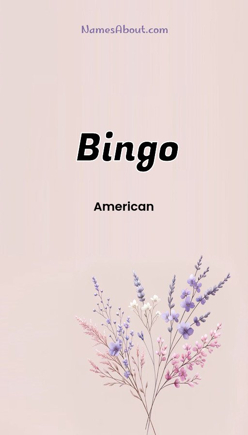 Meaning of Bingo