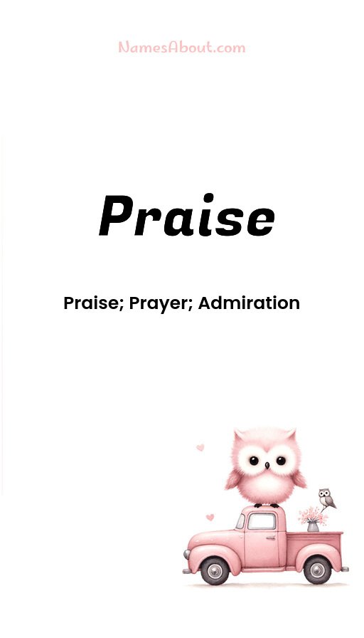 Meaning of Praise