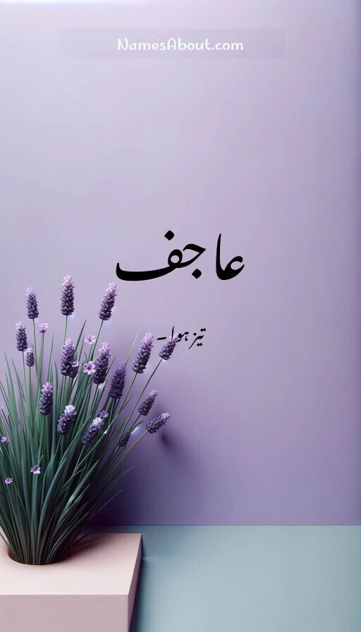 عاجف