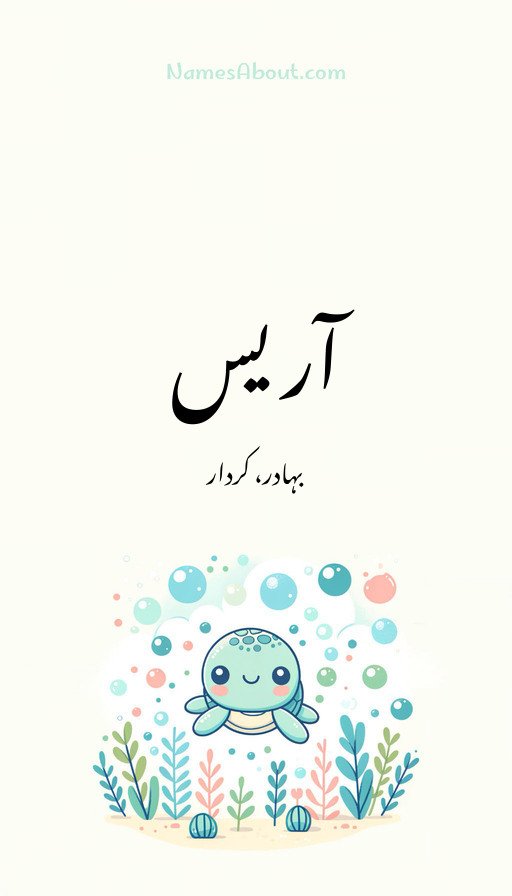 آریس