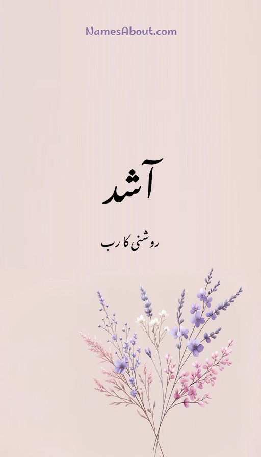 آشد