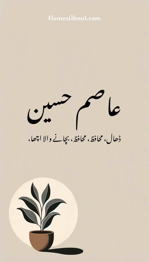 عاصم حسین