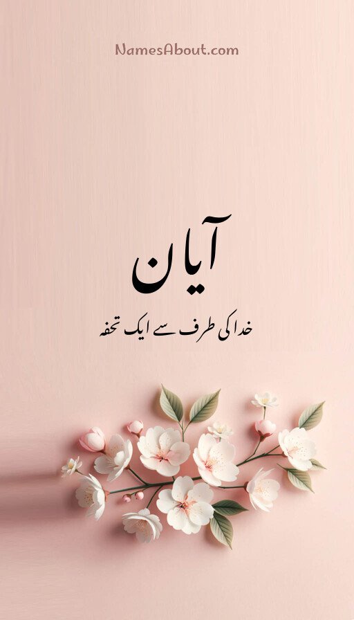 آیان