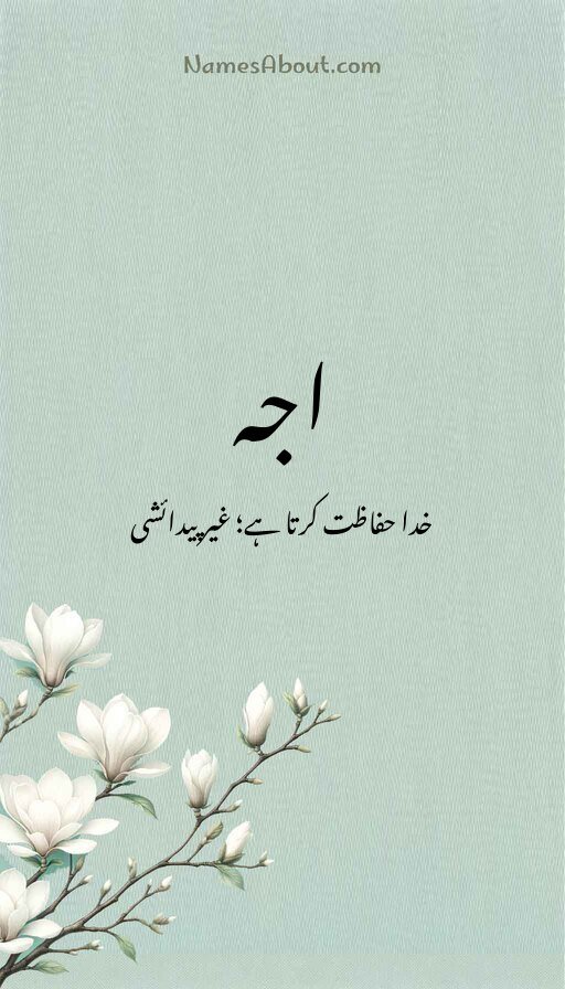 اجہ