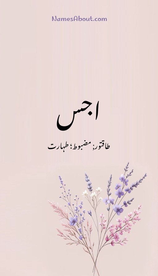 اجس