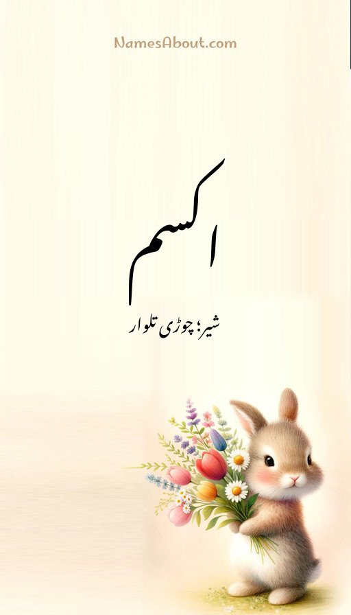 اکسم
