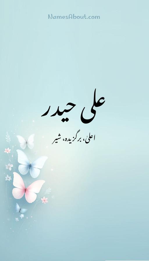 علی حیدر