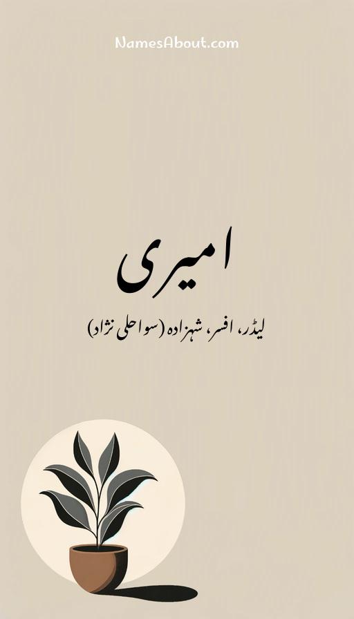 امیری