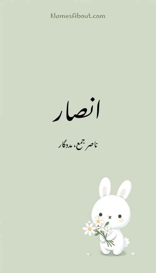 انصار