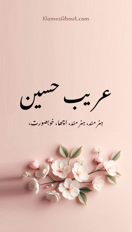 عریب حسین