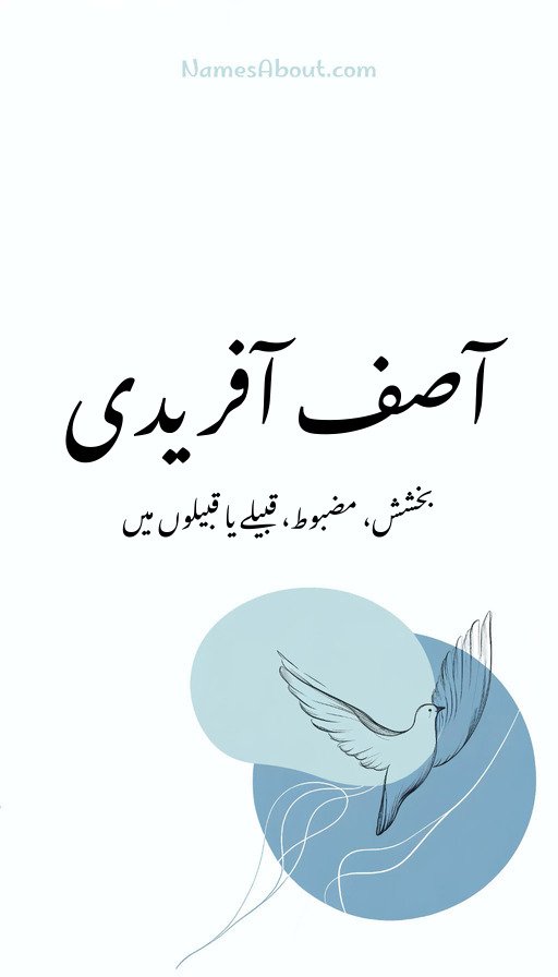 آصف آفریدی