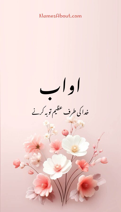 اواب