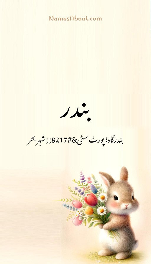 بندر