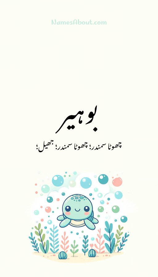 بوہیر