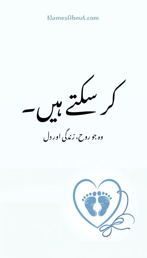 کر سکتے ہیں۔