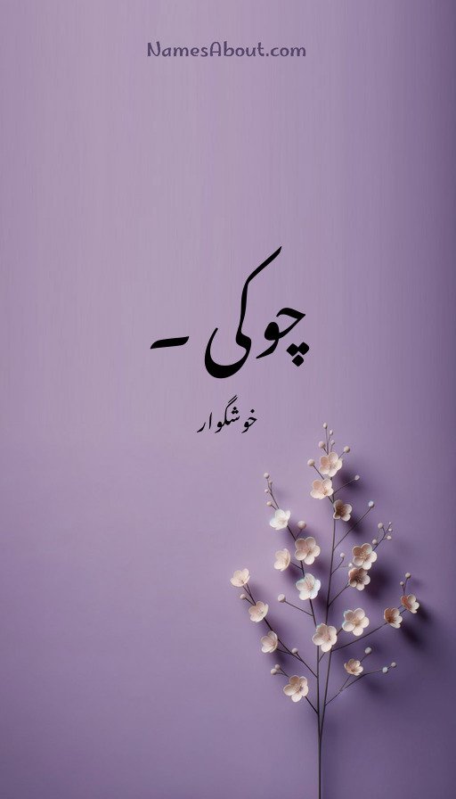 چوکی ۔