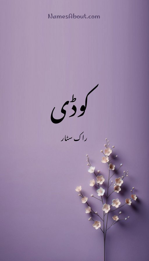 کوڈی