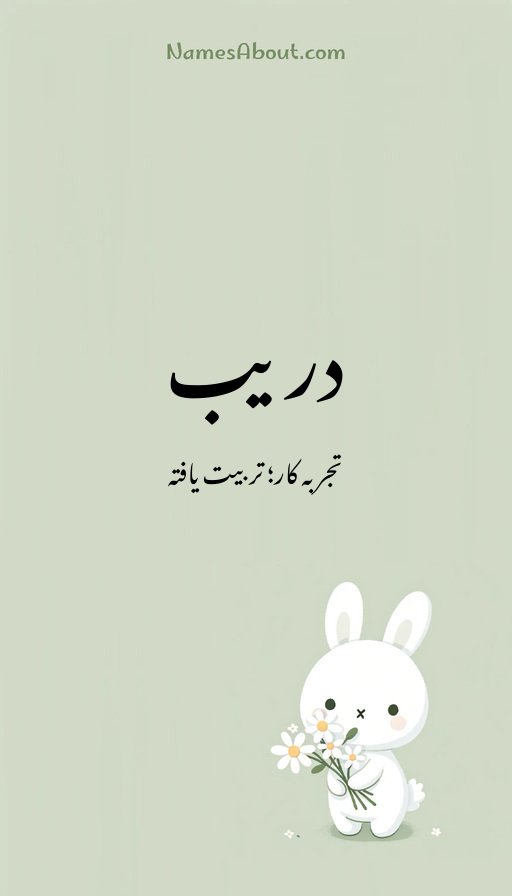دریب