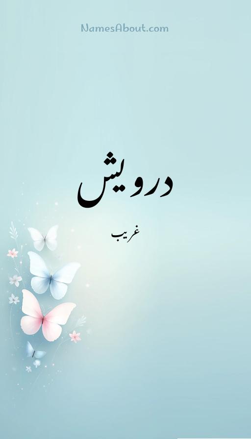 درویش