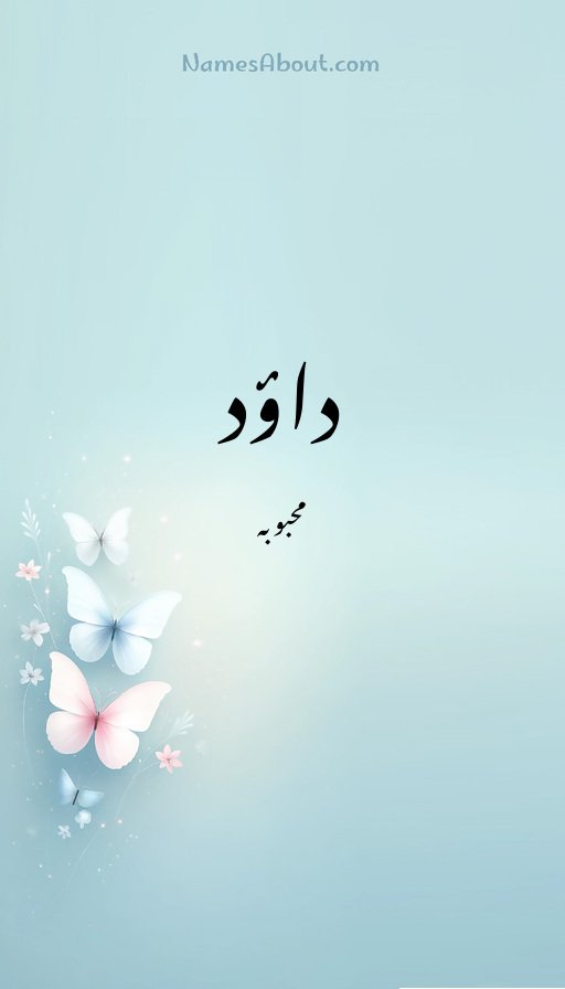 داؤد