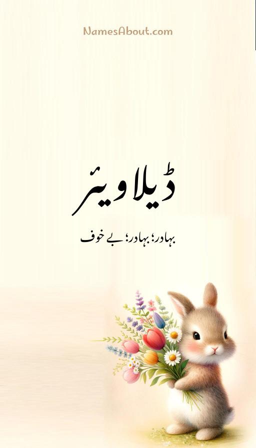 ڈیلاویئر