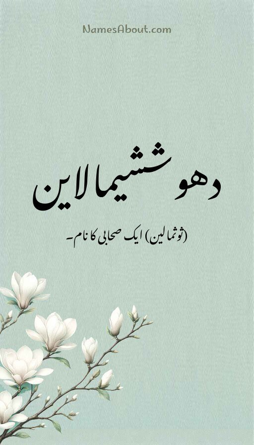 دهوششیمالاین