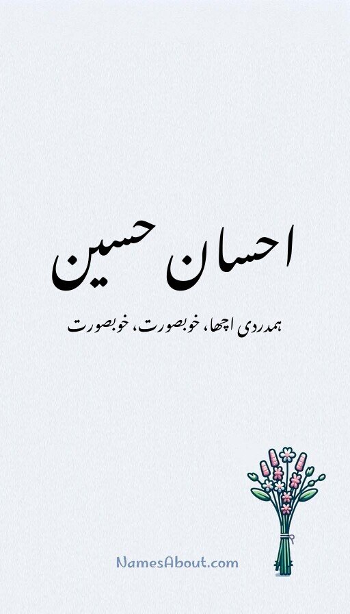 احسان حسین