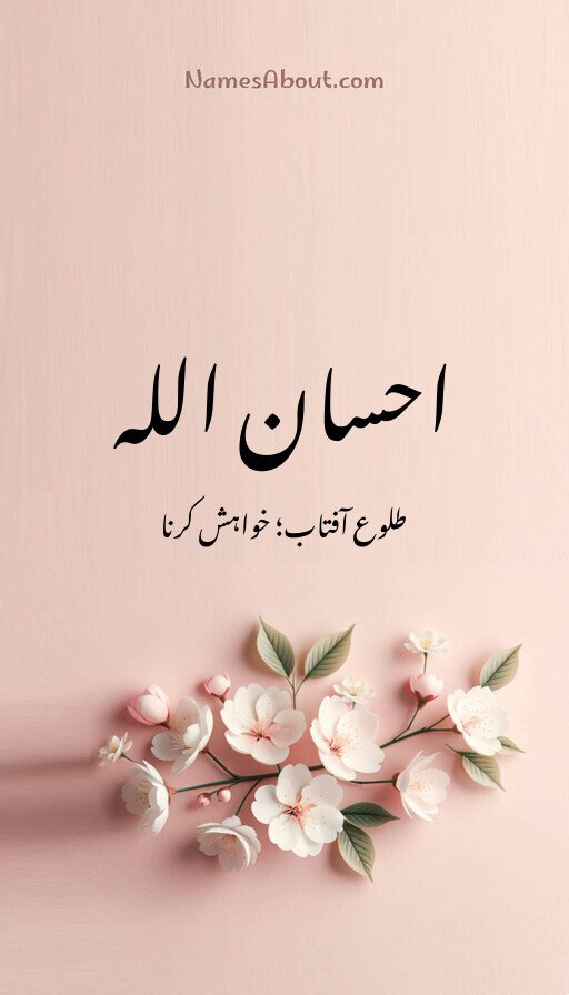احسان اللہ