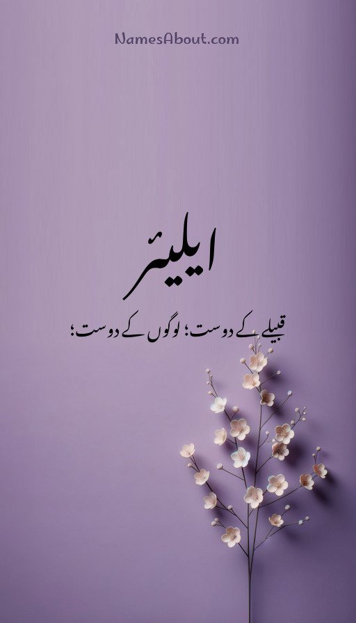 ایلیئر