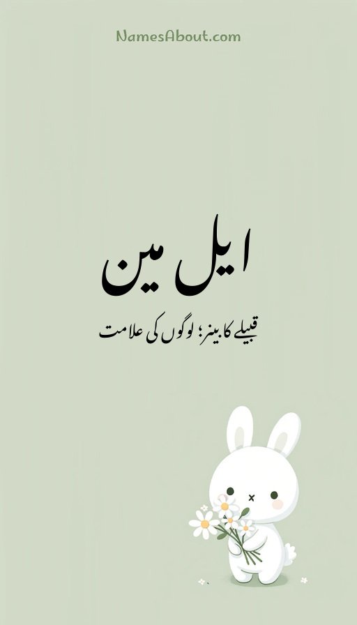 ایل مین