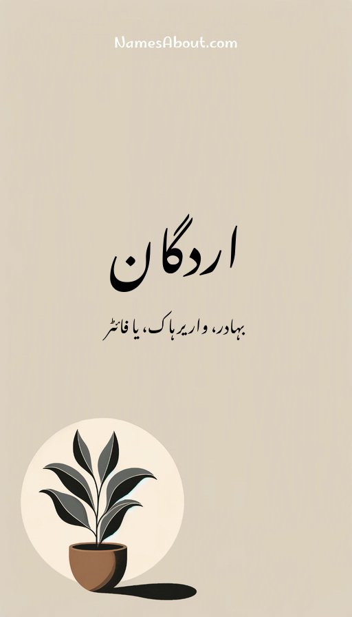 اردگان