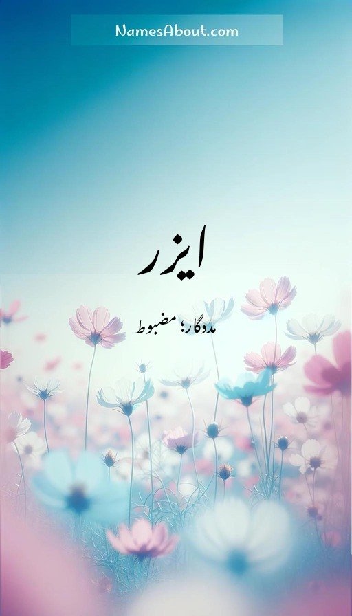 ایزر