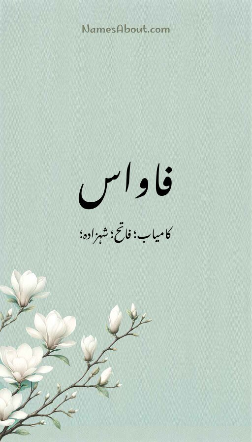 فاواس