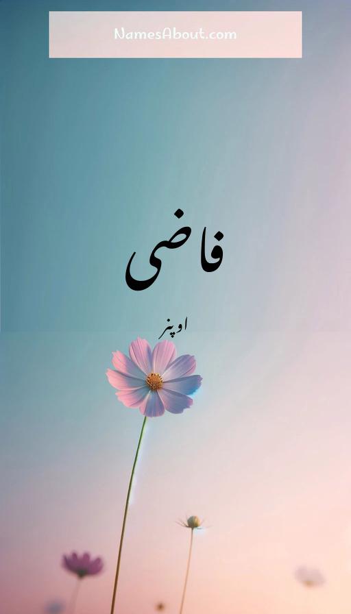 فاضی