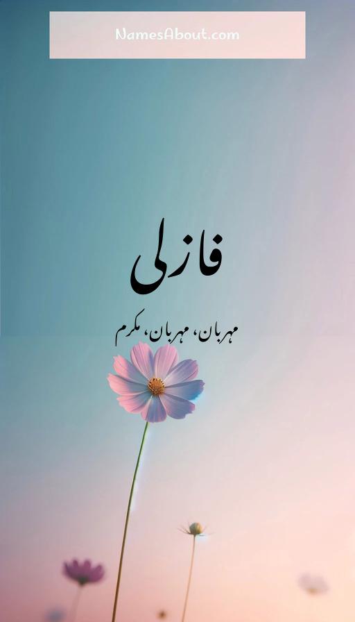 فازلی