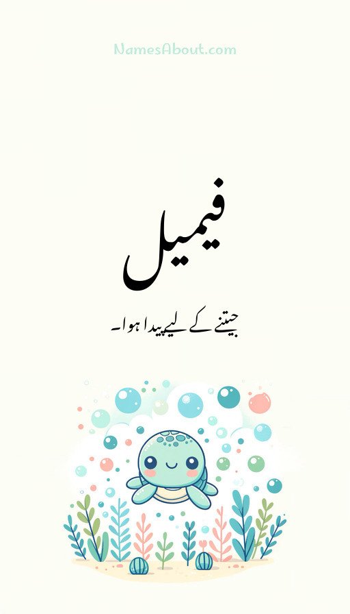 فیمیل