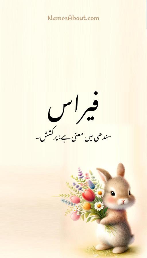 فیراس