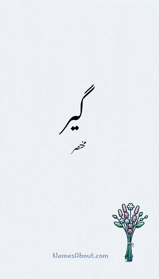 گیر