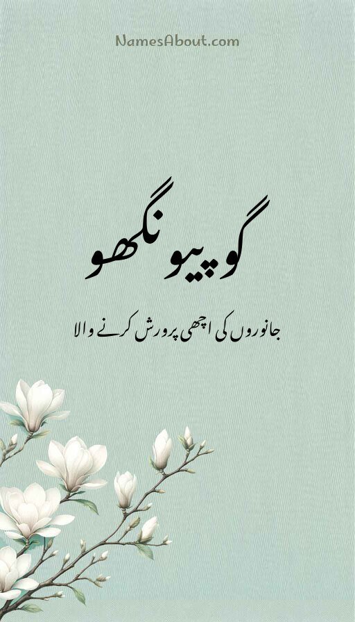 گوپیونگھو