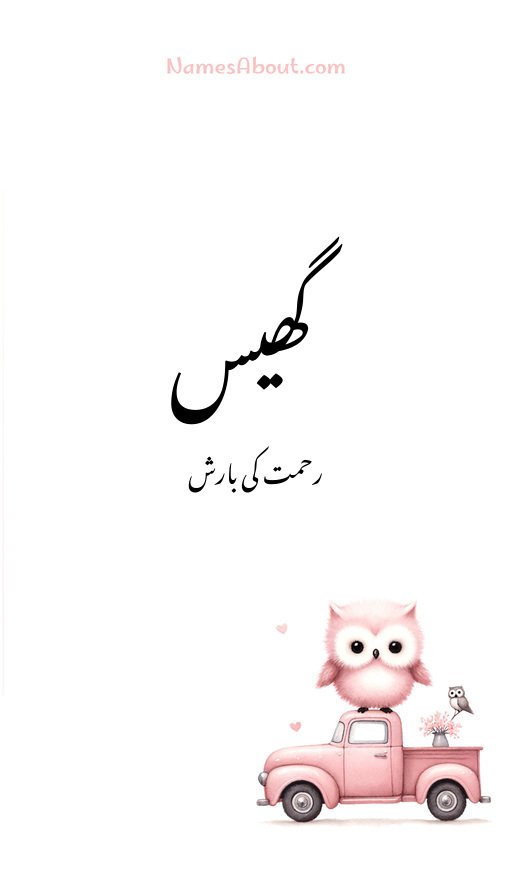 گھیس