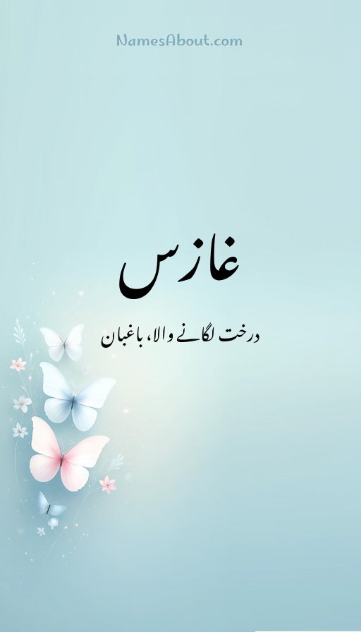 غازس