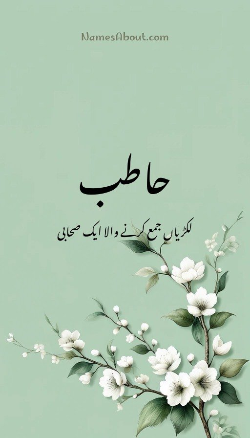 حاطب