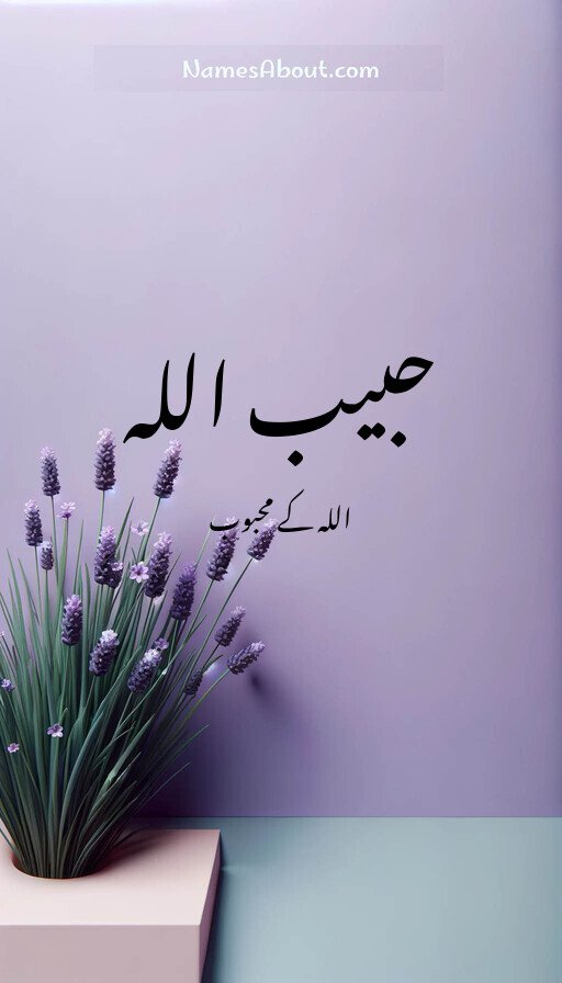 حبیب اللہ